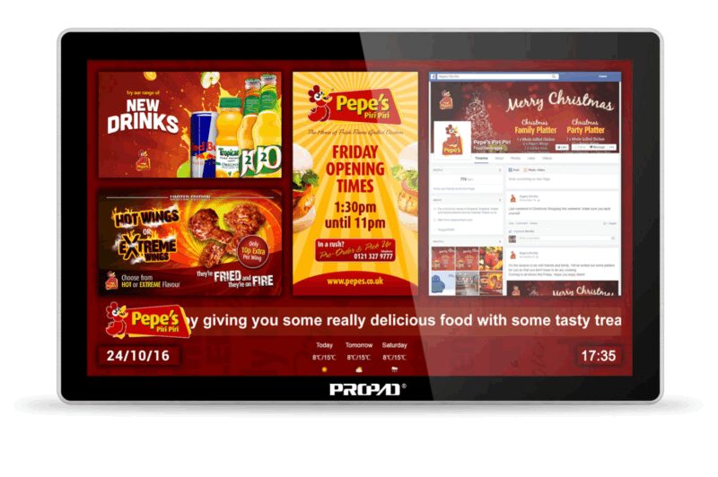 Ecran Propad 65"