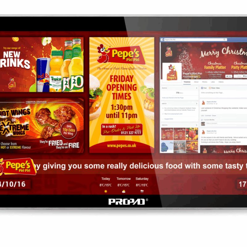 Ecran Propad 65"